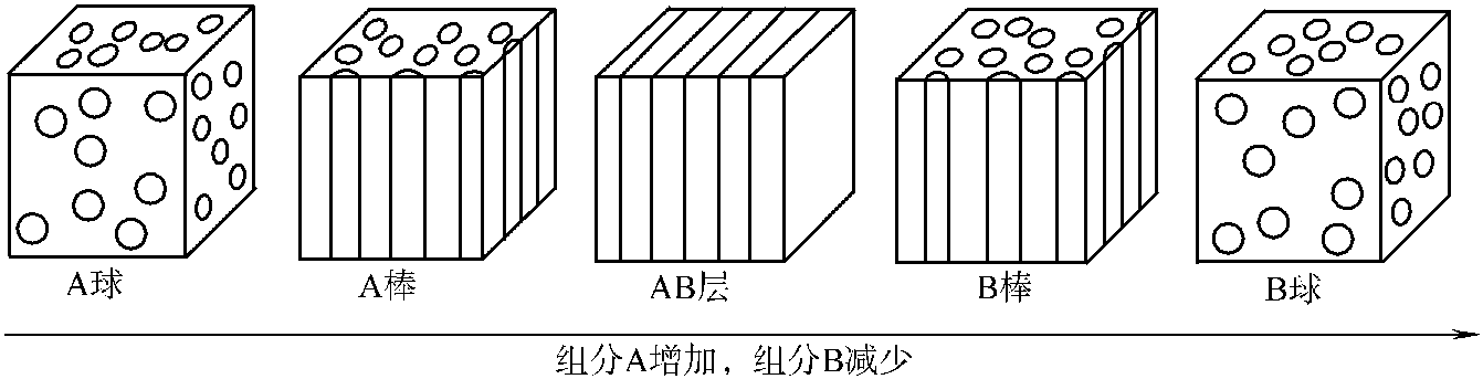 4.3.3 共混物的形態(tài)結(jié)構(gòu)